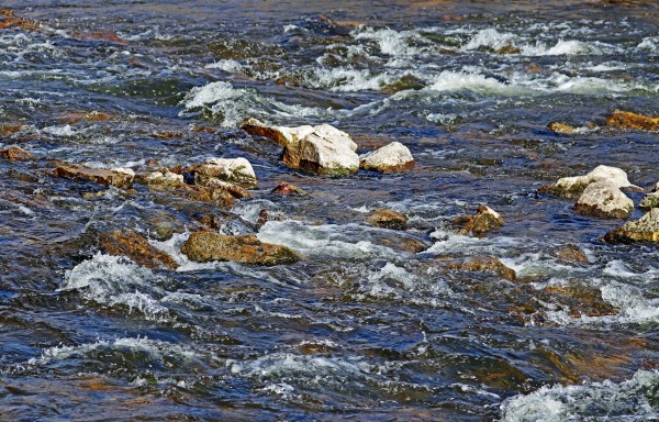 Speed River Shallows by Deb Oppermann
